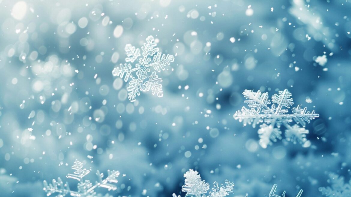 lagratte_snow_hey